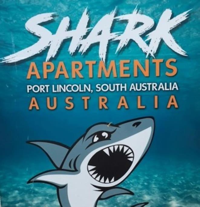 Port Lincoln Shark Apartment 6 Esterno foto